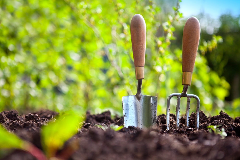 10 expert gardening tips for beginners