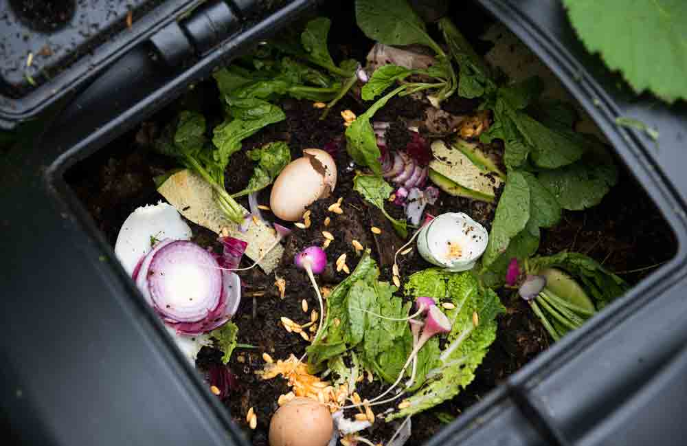 Use eggshells in the garden compost