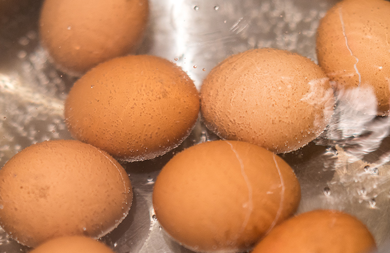 Zero waste uses for eggs, eggshells and egg cartons Australian