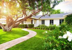 Budget-friendly ways to add instant kerb appeal