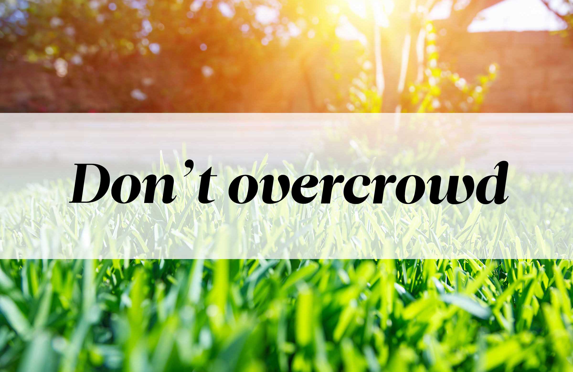 9 simple tricks that will make your yard look bigger Australian