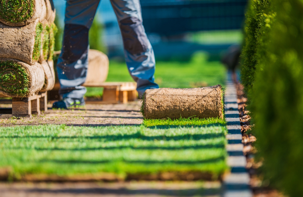 Landscaping