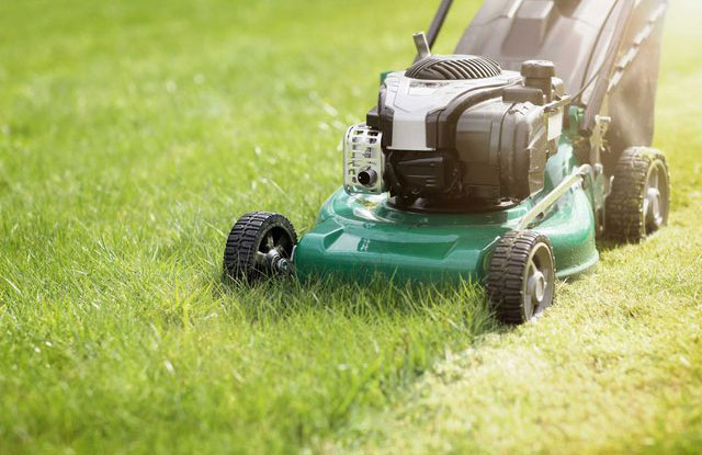 Cutting grass lower means less mowing