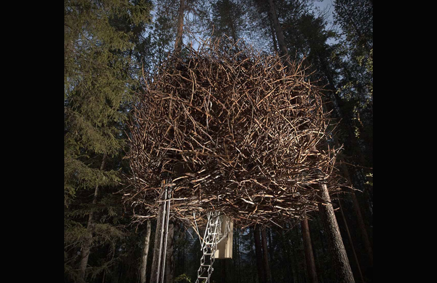 The Bird’s Nest