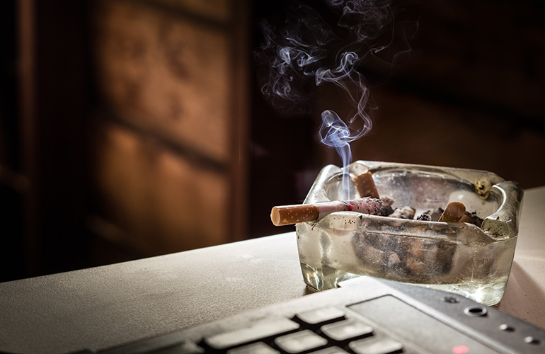 10 house smells you should never ignore Australian Handyman Magazine