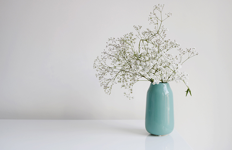 Buy fresh flowers and plants