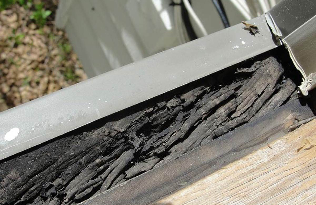 Water damage around windows