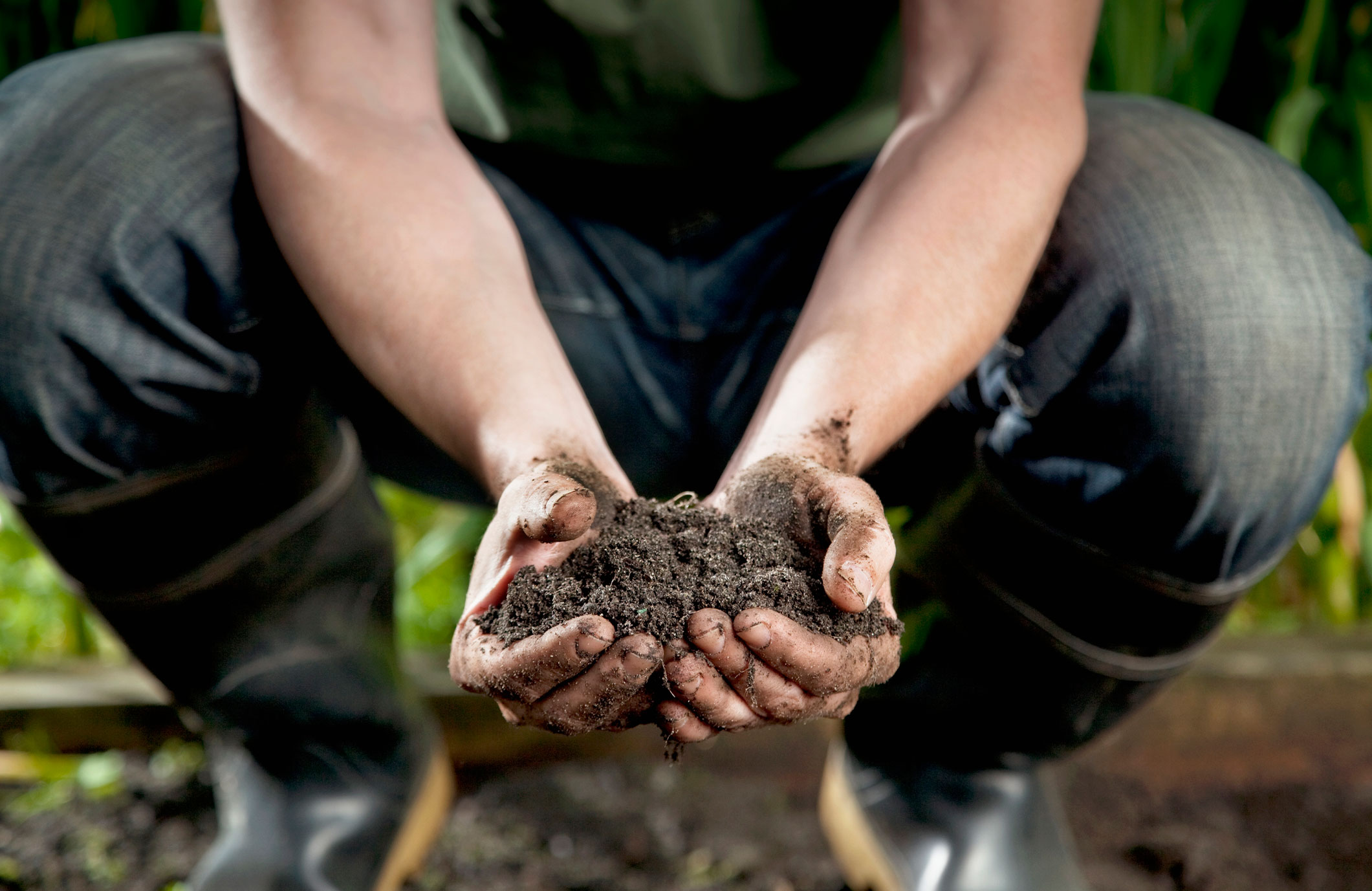How do sustainable gardening practices help the environment?