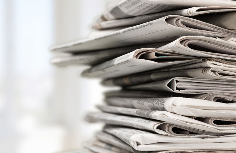 Newspaper and cardboard are a great weed barrier