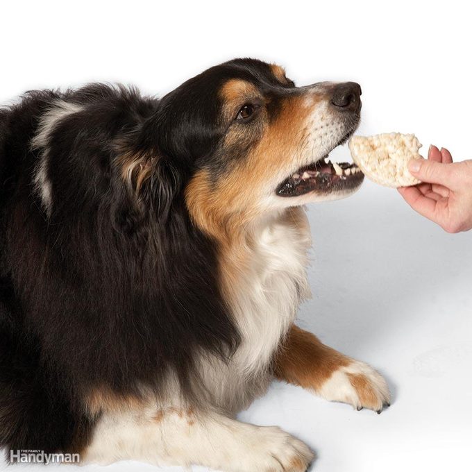 Low-fat dog treats