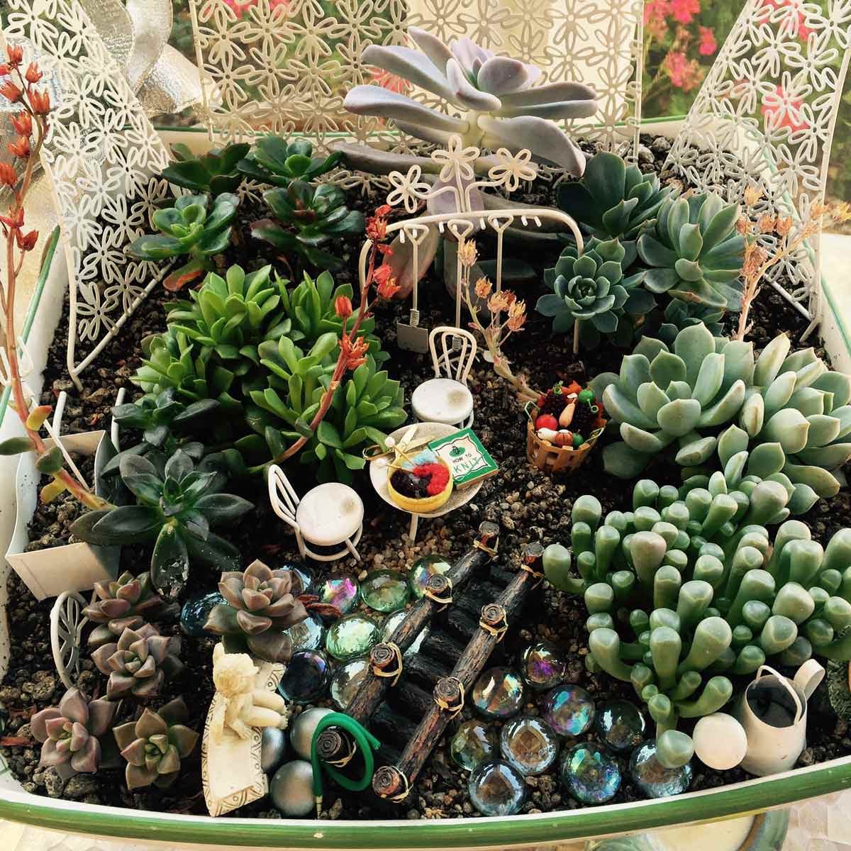 Container fairy garden