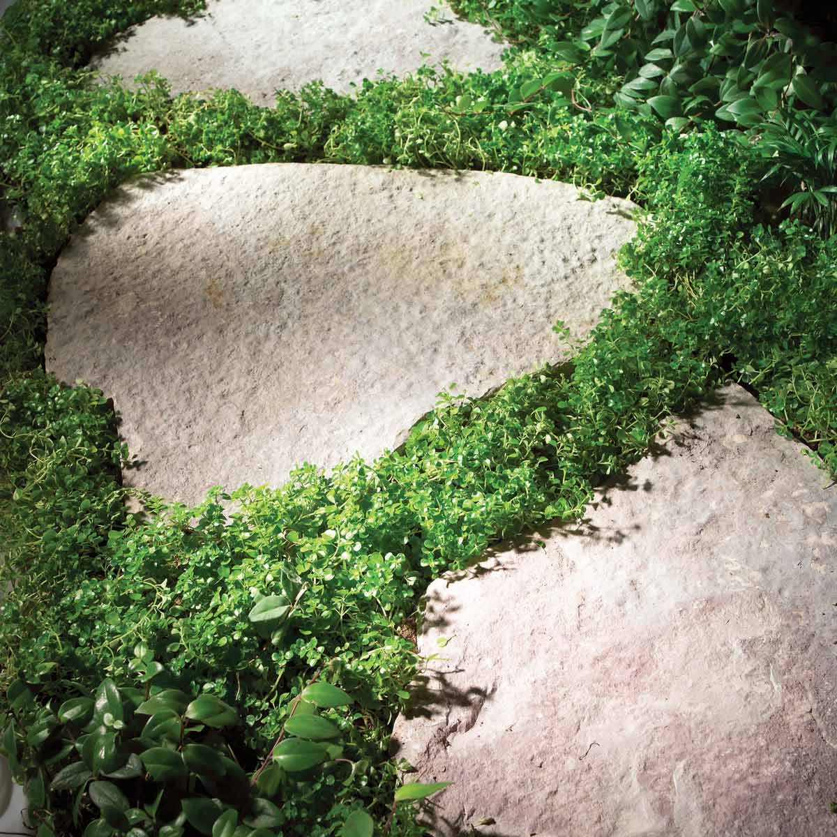 Planted paths with yard stones