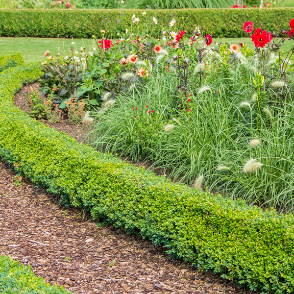 Mulch walkways