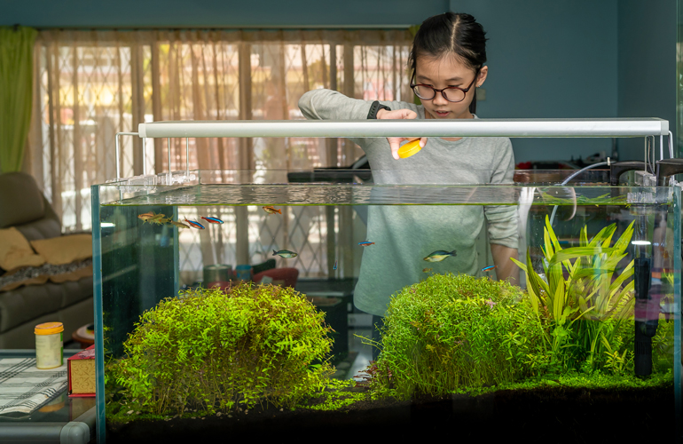 Day to day management