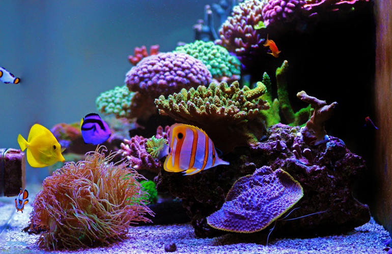 Cleaning an old tank