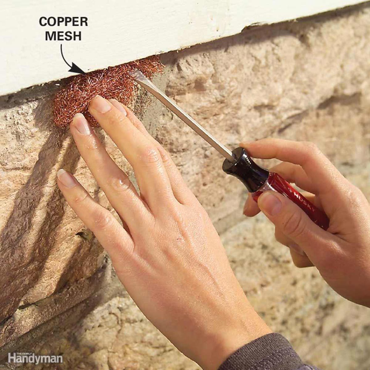 Keep pests out