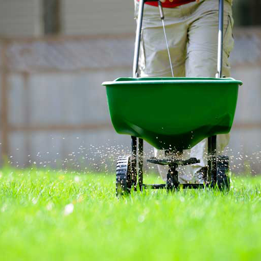 Fertilise in autumn