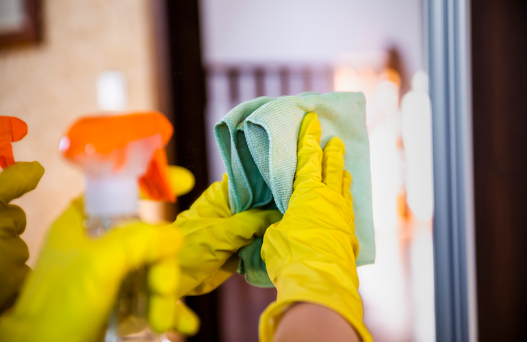 Glass and mirror cleaner