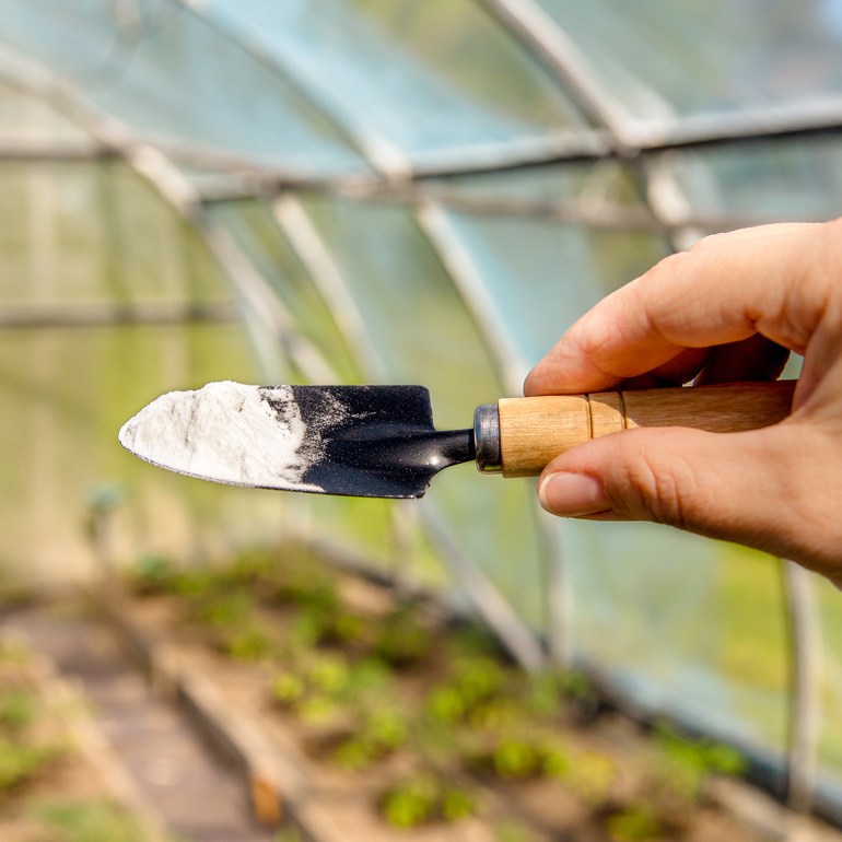 Add a little baking soda for a quick soil fix