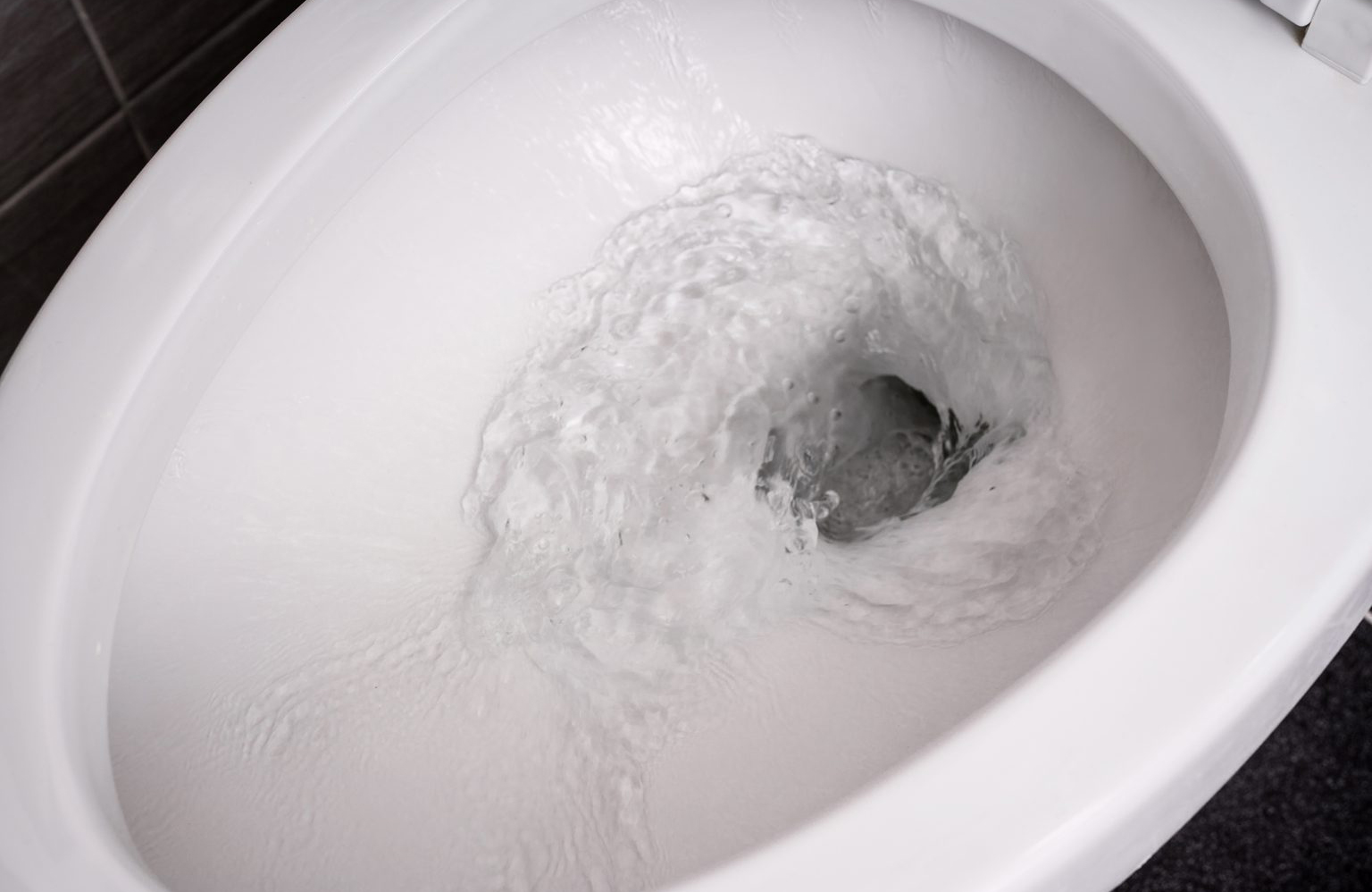 Toilet clog remover