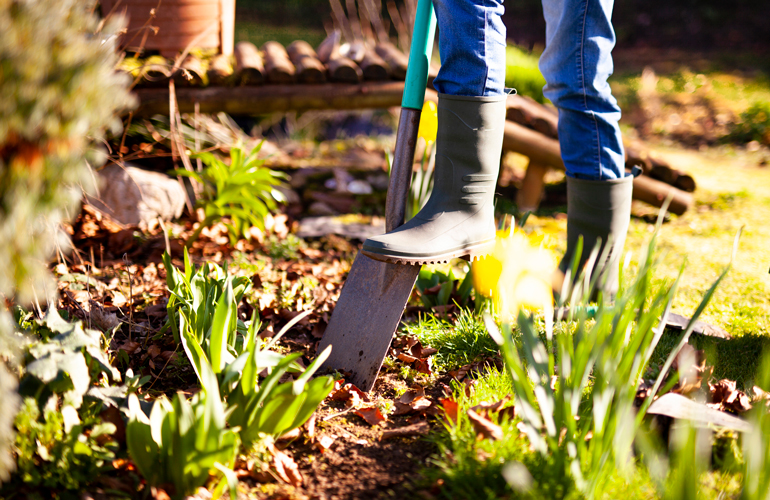 Planting without considering sunlight