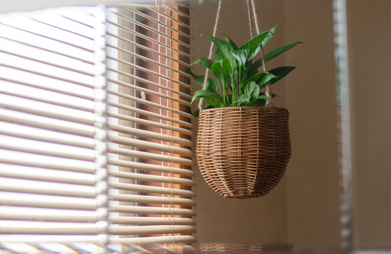 Hang baskets