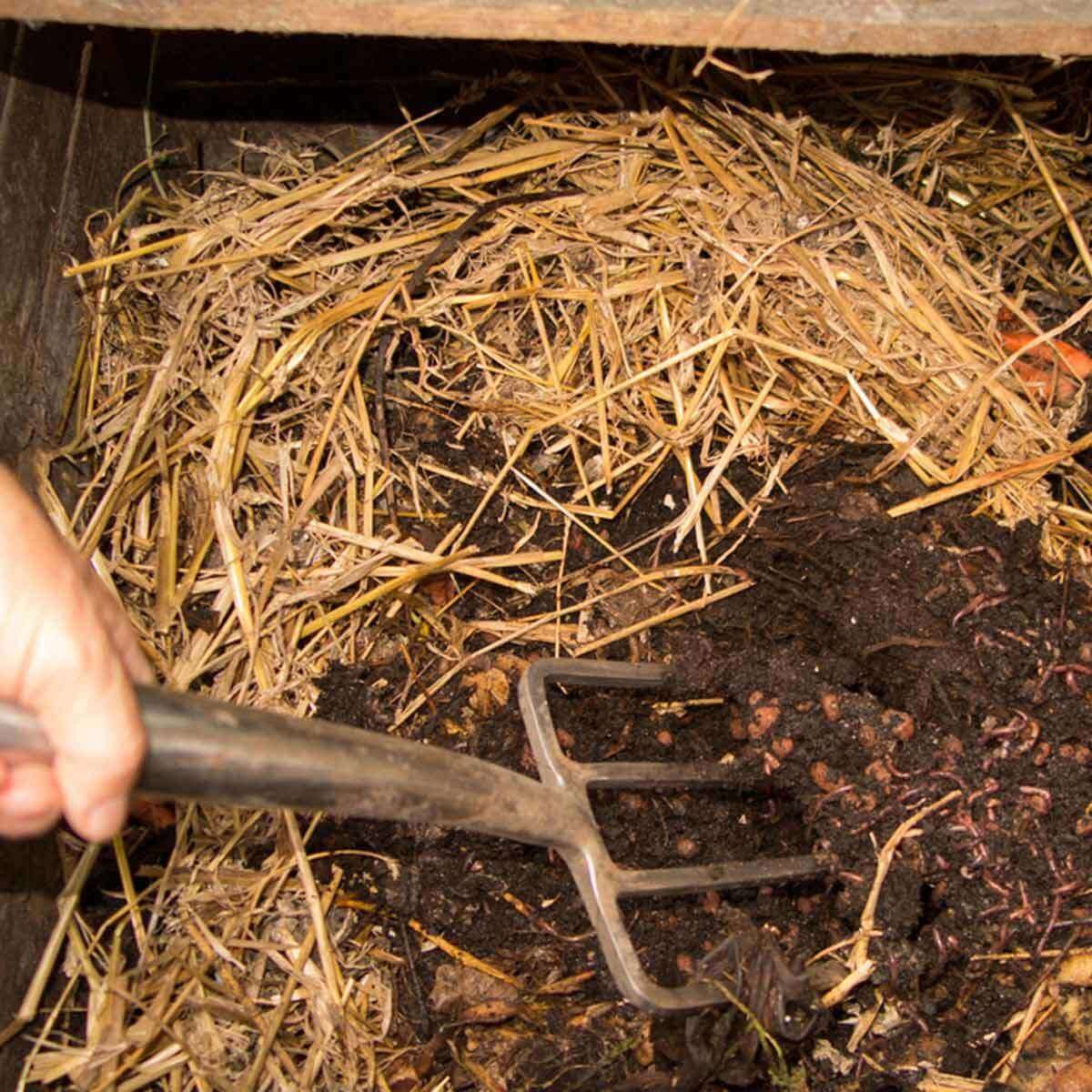 12 tips for successful spring composting – Australian Handyman Magazine