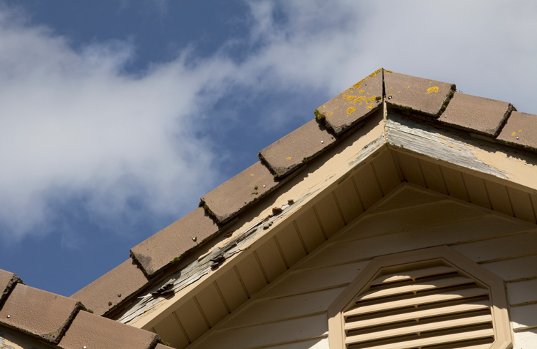 Termite control is an ongoing solution