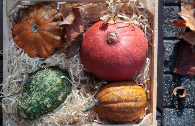 Store your root crops