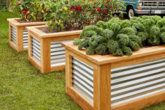 10 raised bed garden ideas