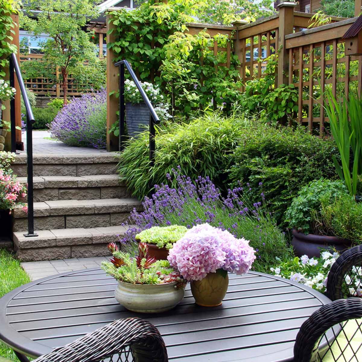 Landscape with potted plants