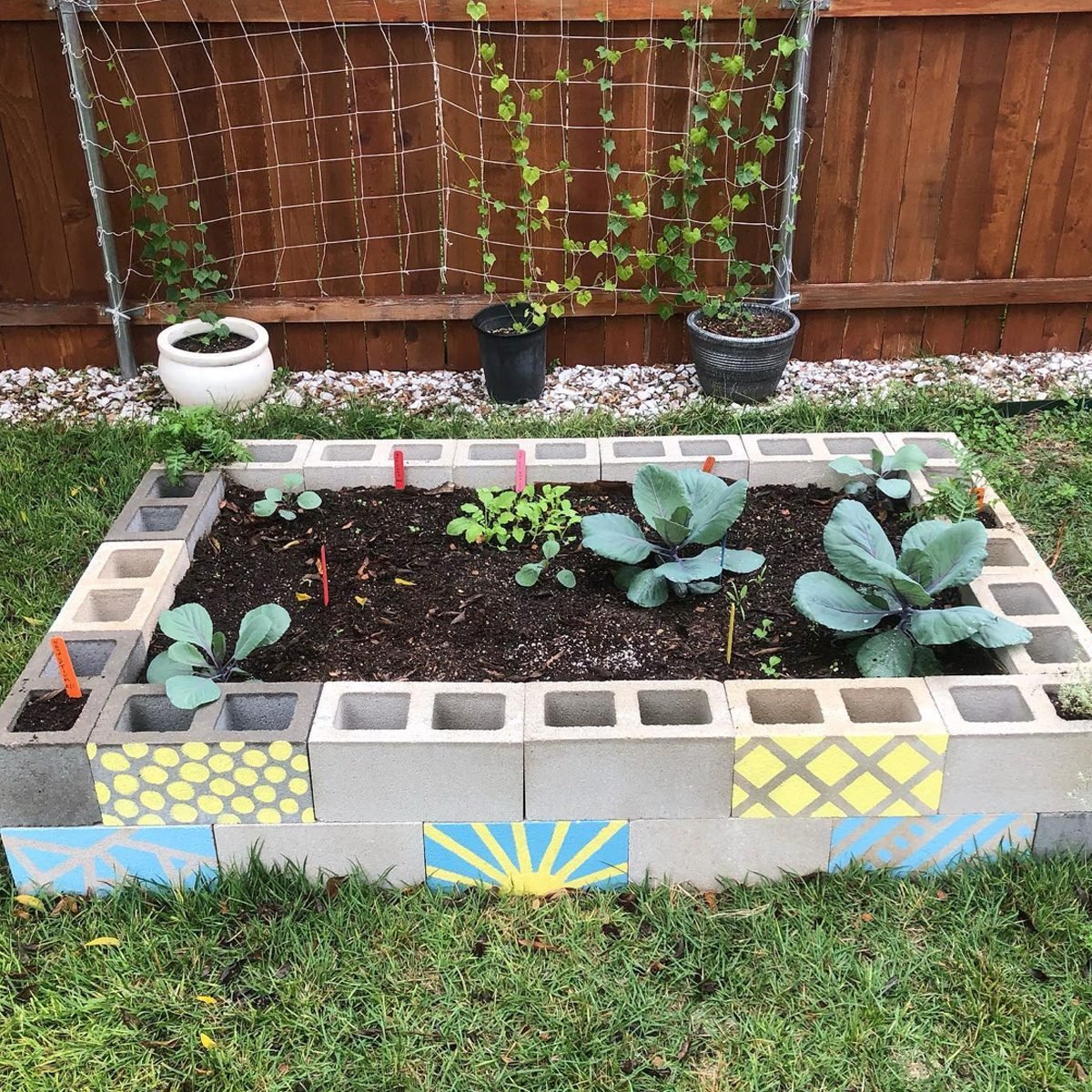 Cinder block raised garden bed