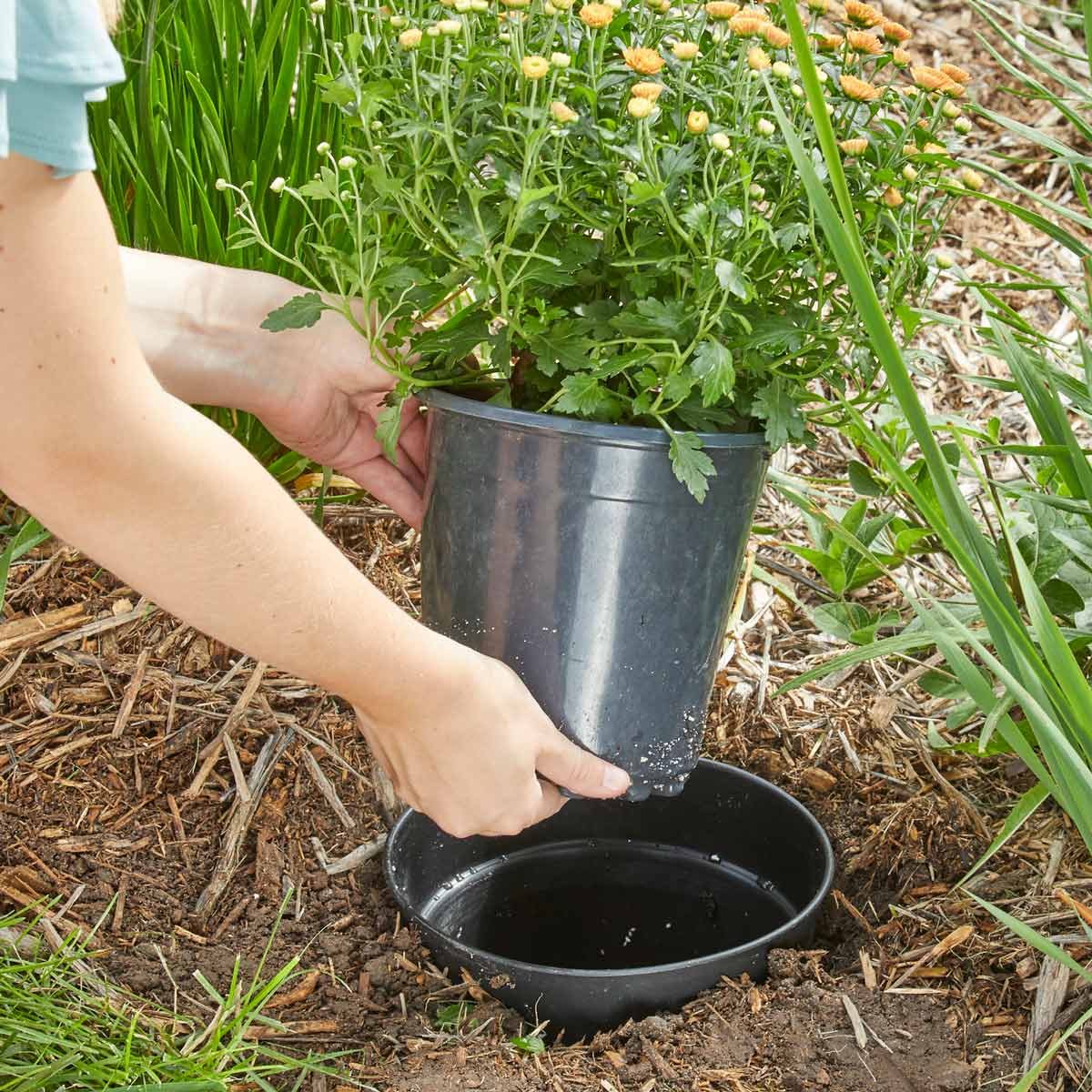 Pot-in-a-pot landscaping