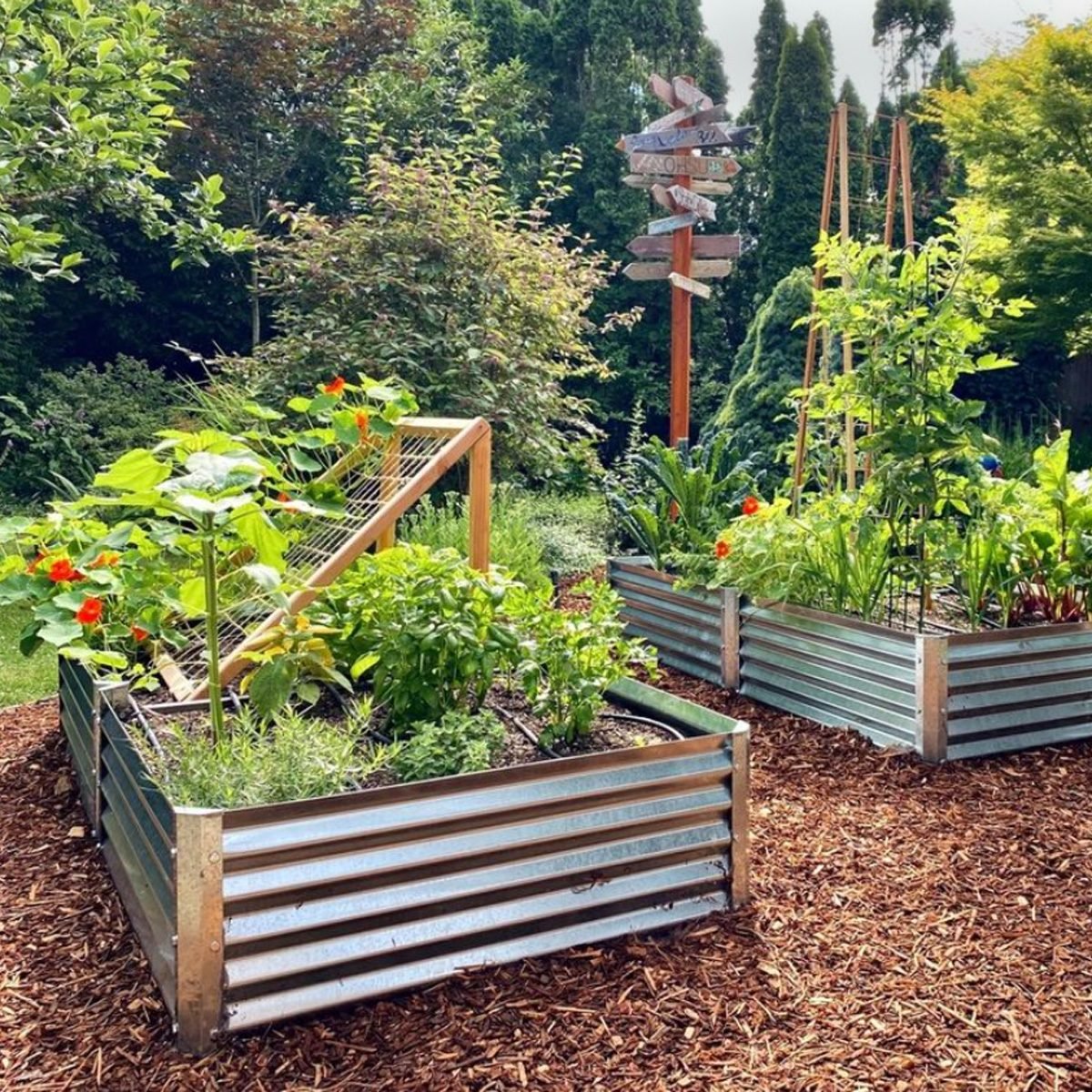 Galvanised steel raised garden bed