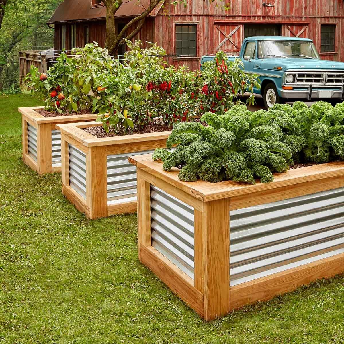 DIY corrugated metal and wood raised garden bed