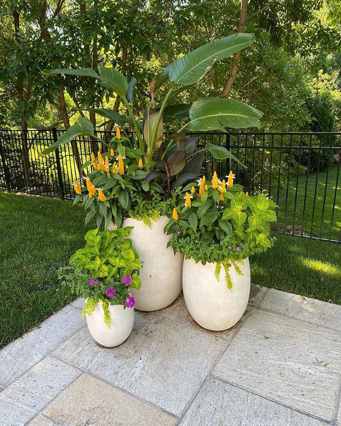 Grouping potted plants