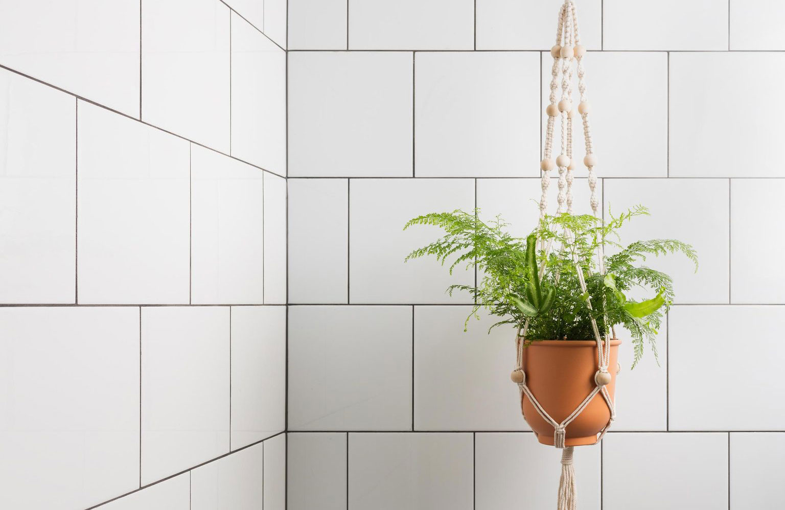 Turn your bathroom into a plant haven