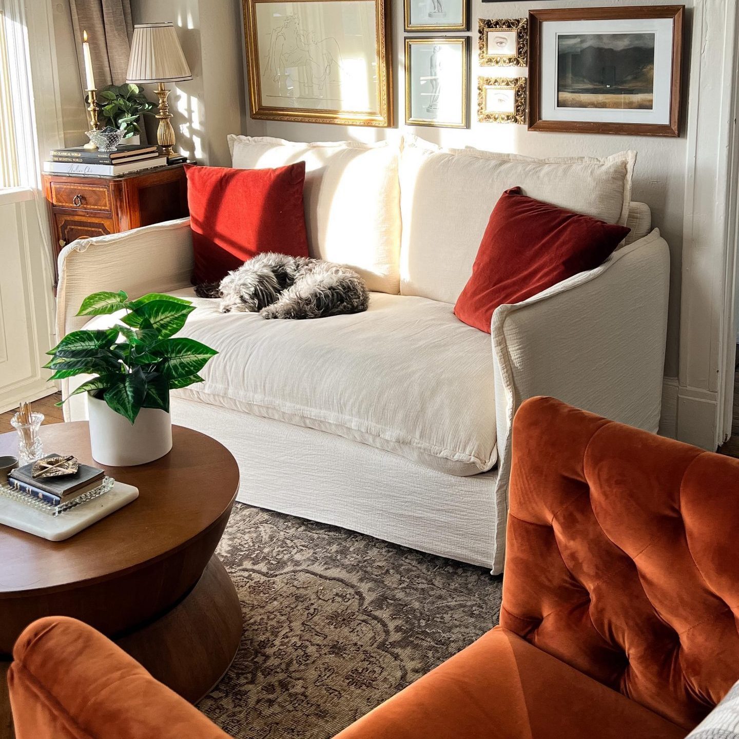 Smart furniture choices
