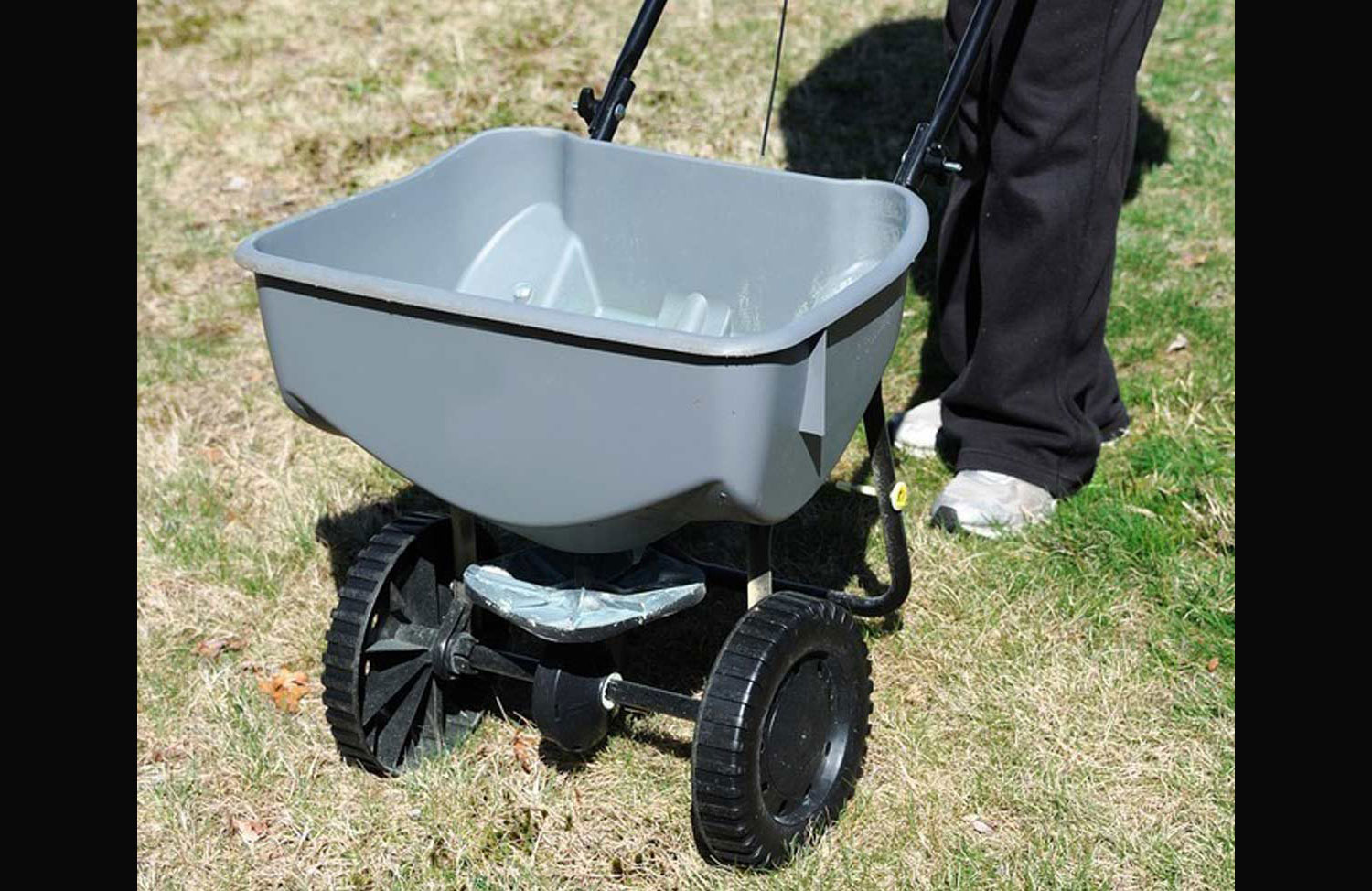 Feed your lawn
