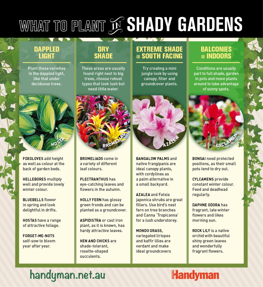 what to plant in a shady garden, handyman magazine, 