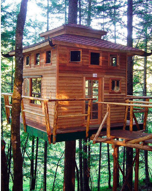 Treehouse in forest, 6 Top Treehouse Ideas 