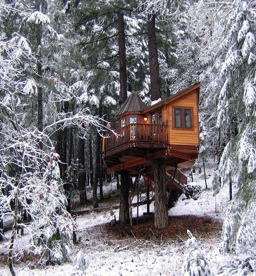 Vertical Horizones treehouse, Handyman Magazine 