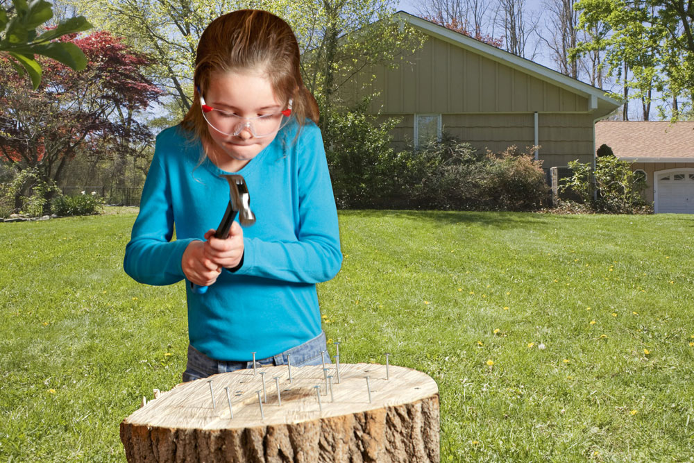 KIDS DIY, DIY, we show you  how, handyman magazine, hammer in to a stump