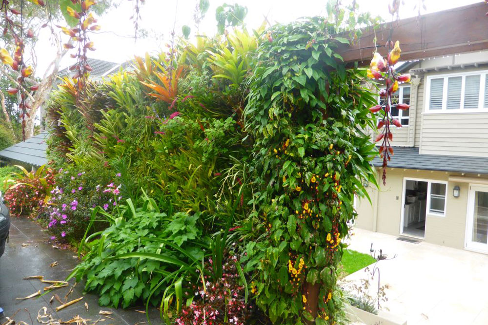 beautiful double-sided greenwall, handyman magazine, 