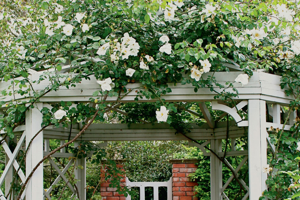archway of roses, handyman magazine, 