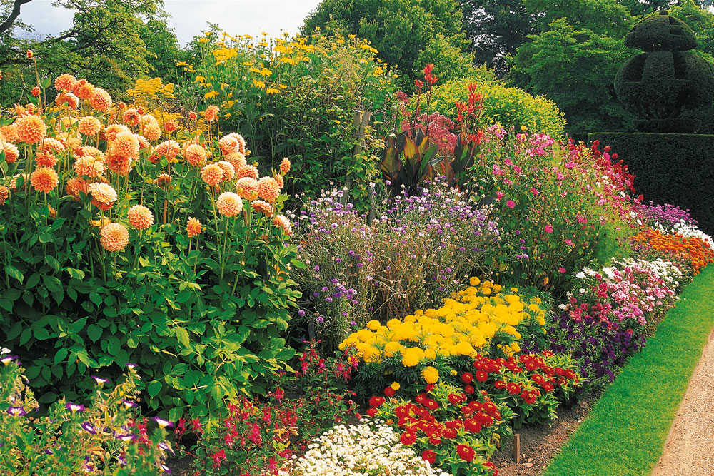 summer garden with layered flowers, handyman magazine, 