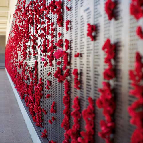red poppies on roll of honour, australian war memorial, 