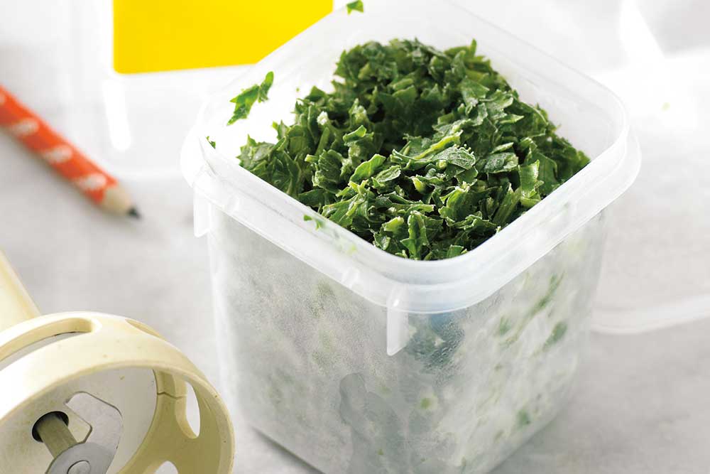 freezing herbs in plastic containers, handyman magazine, 