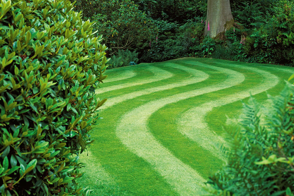 6 tips for growing greener grass, our top 10 most popular articles, handyman magazine, 