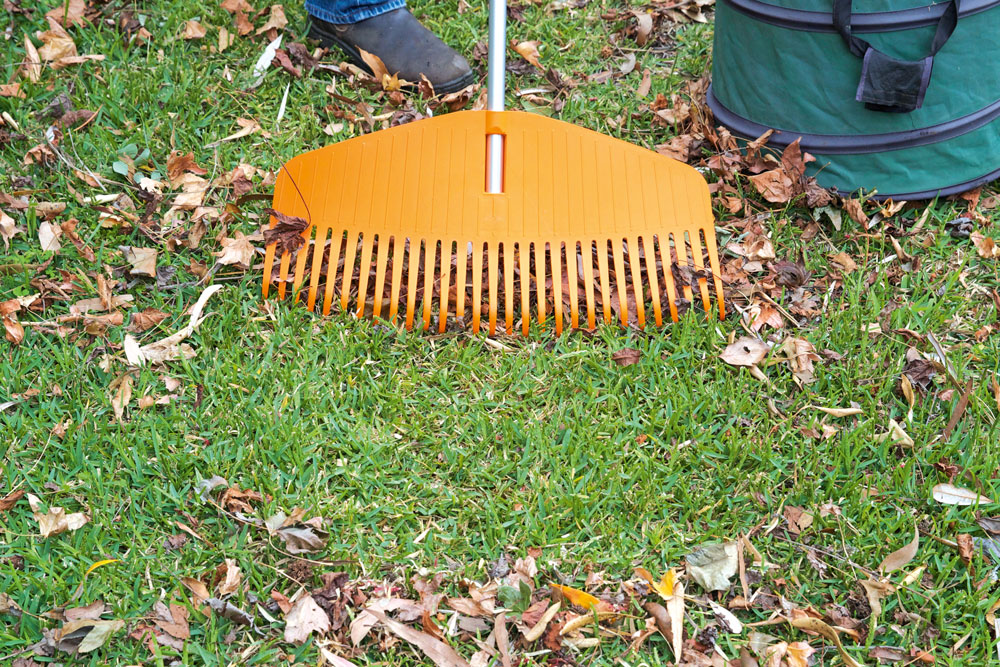 rake away leaves, handyman magazine, 